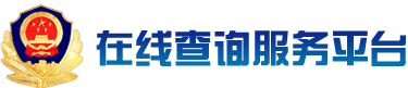 在线查询服务平台